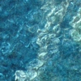 detail of blue felt